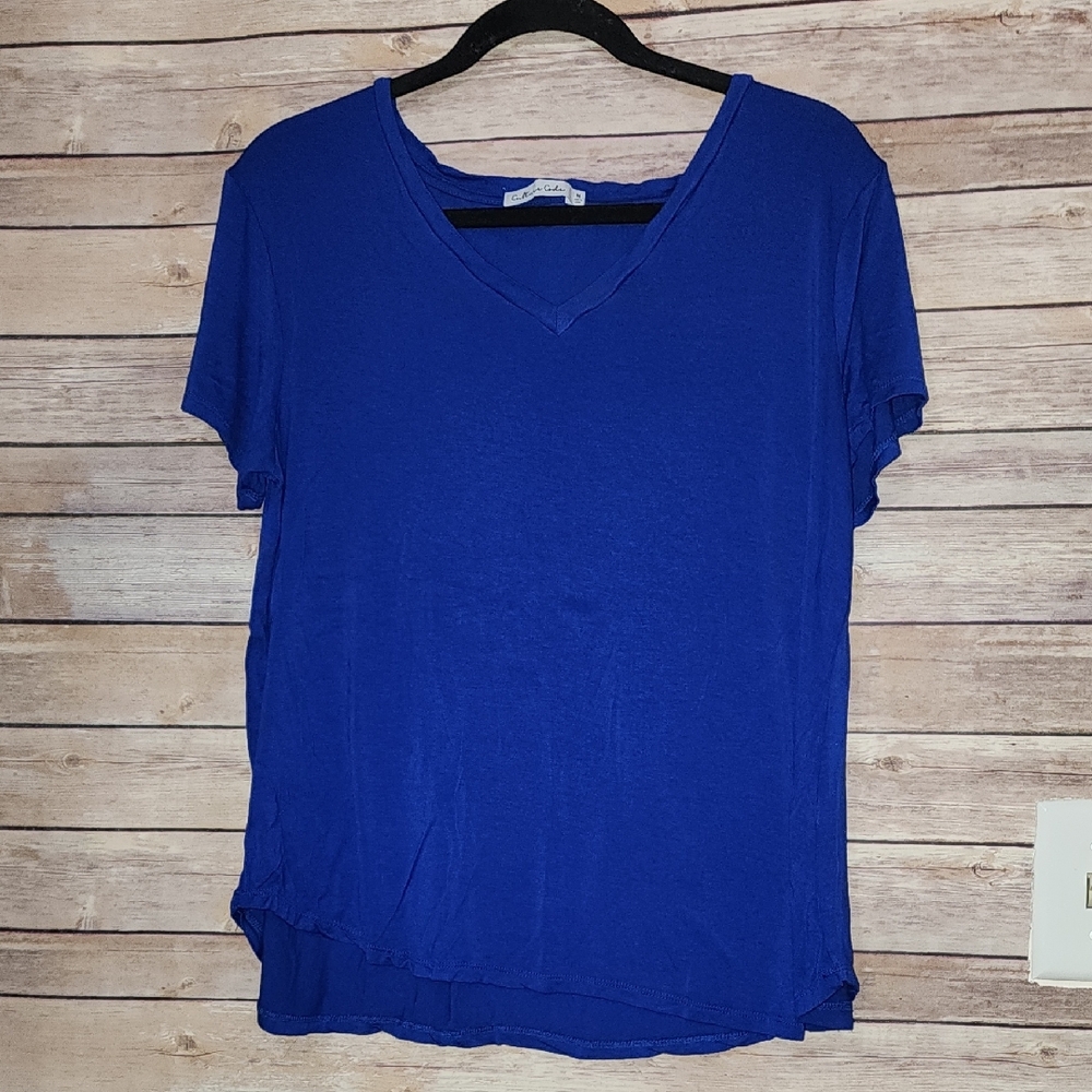 Culture Code Women's Blue V-Neck Top